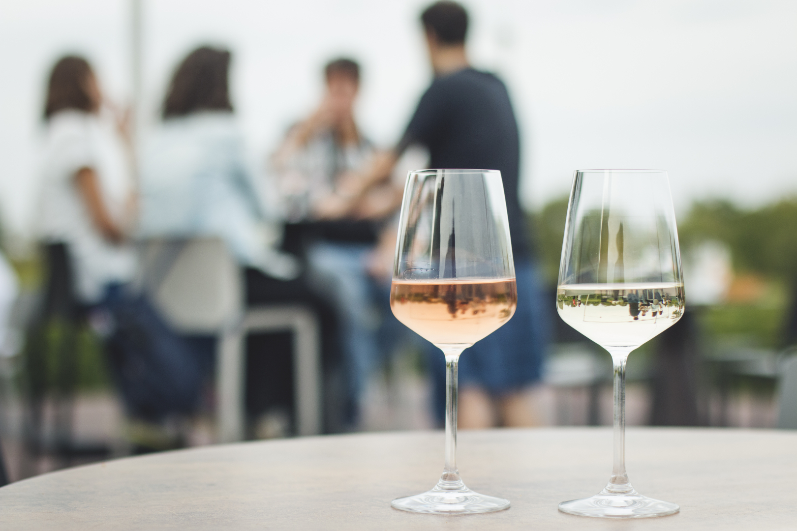 Small group wine tasting