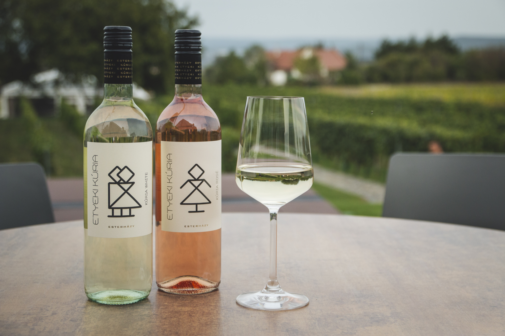 Wine tasting with lunch