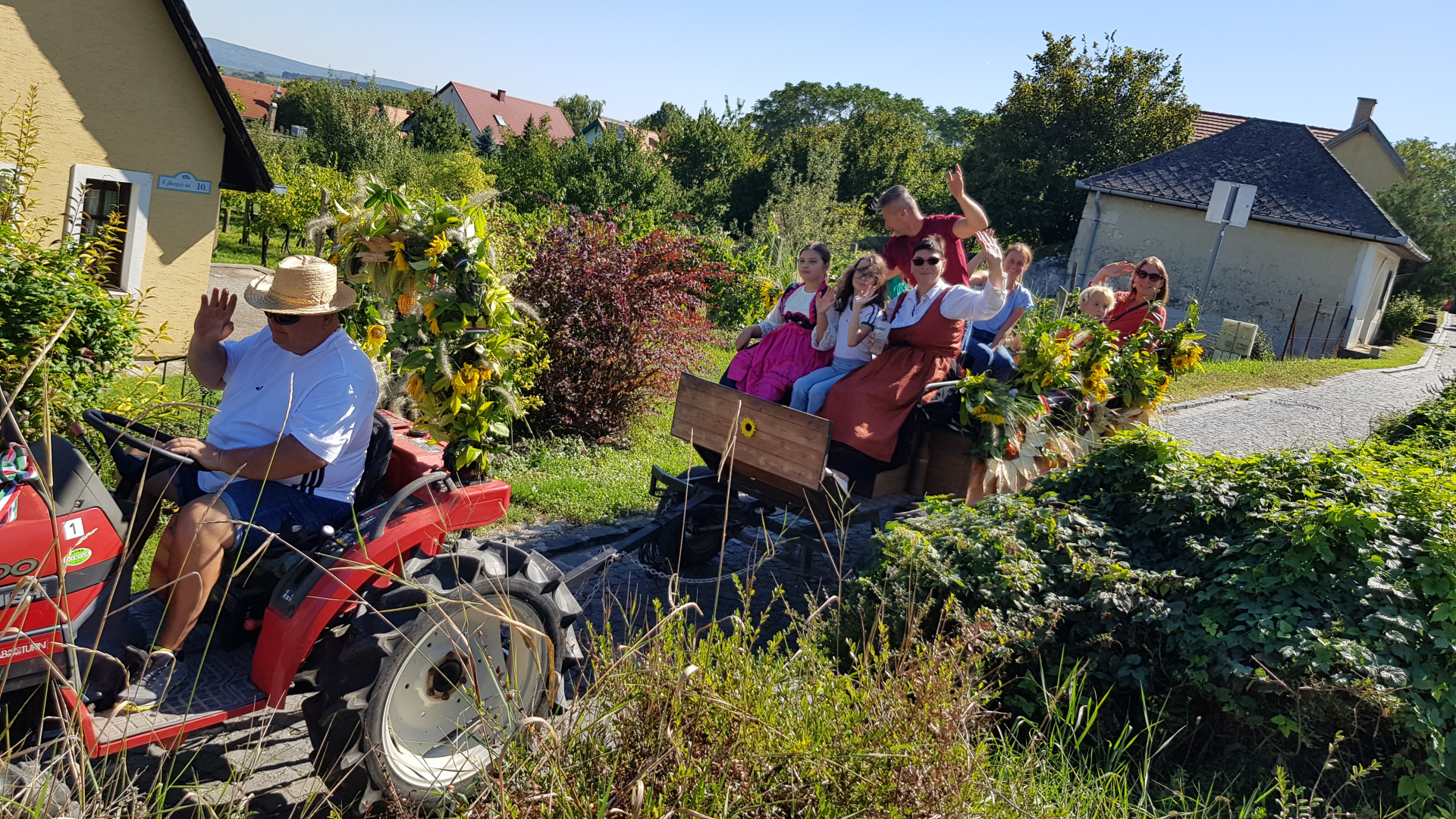 Local Wine Makers In Hungary