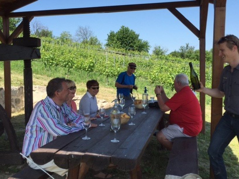 Vidéki bortúra az Etyeki borvidéken vacsorával Galéria