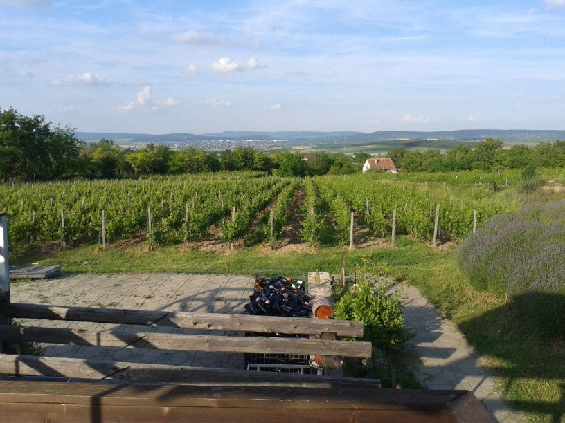 Vidéki bortúra az Etyeki borvidéken vacsorával Galéria