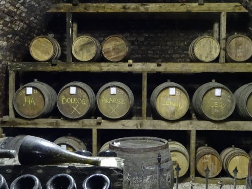 Bortúra és borkóstoló ebéddel Etyeken Galéria