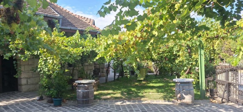 Gasztro-Borkóstoló magyaros falatkákkal Galéria