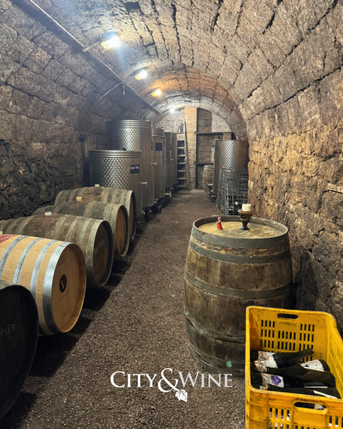 City&Wine gallery