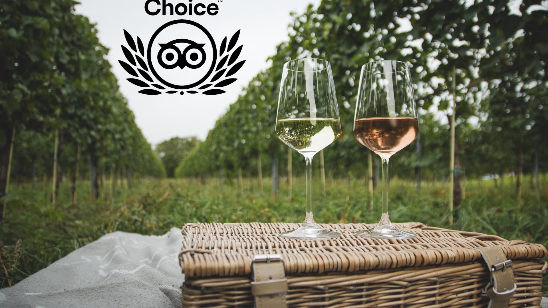 Countryside Wine Tour amongs the top 10 Wine Tours of the World