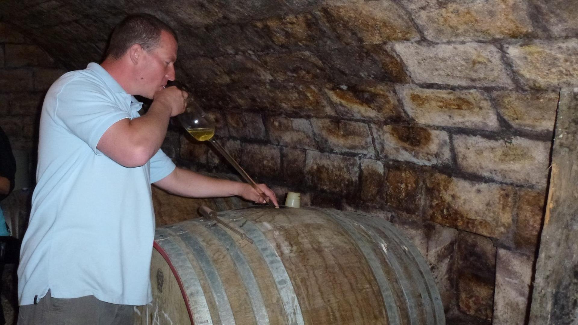 Countryside Wine tasting with Lunch near Budapest