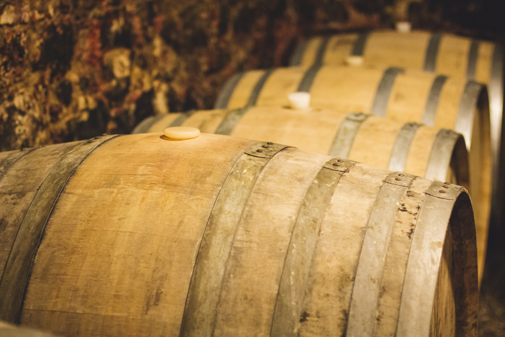 Wine barrels in a cellar