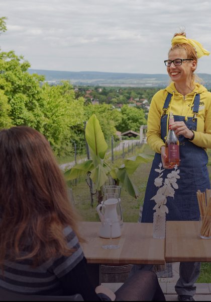 Wine Tours in the Countryside near Budapest