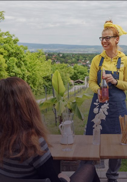 Weintouren auf dem Land in Etyek